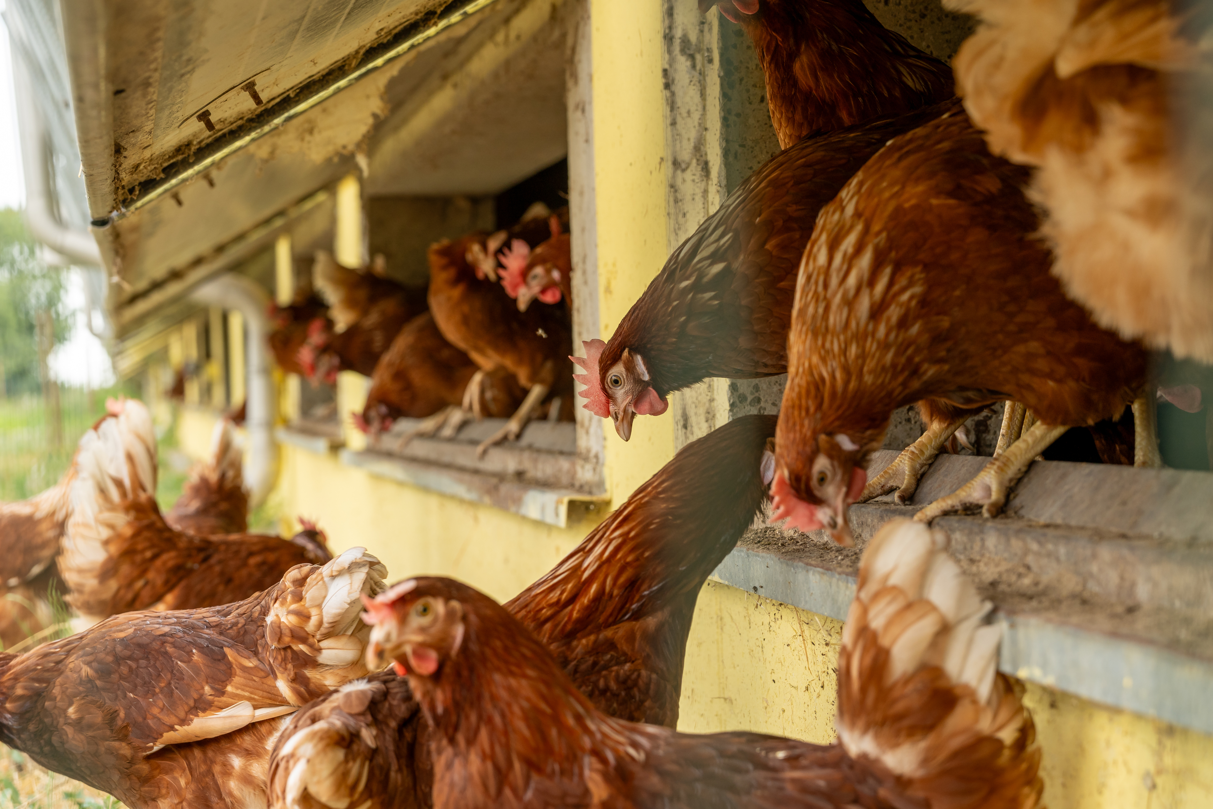 02a3a28cc1d69f8632bfce162fc9da353907a586